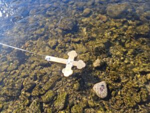 617493786_1324024099764530_434343771728363483_n